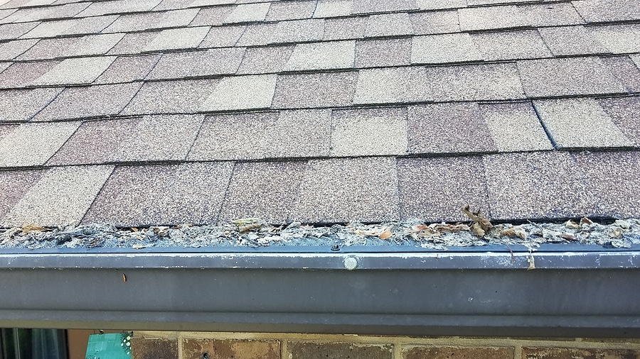Protect Your Home with Professionally Installed Gutter Guards