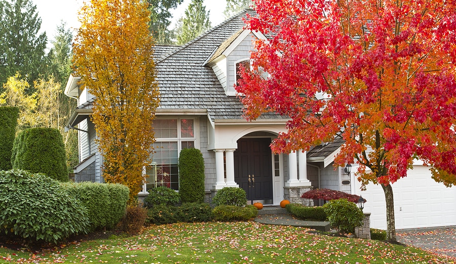 Prepare Your Home for Fall: Essential Maintenance Tips