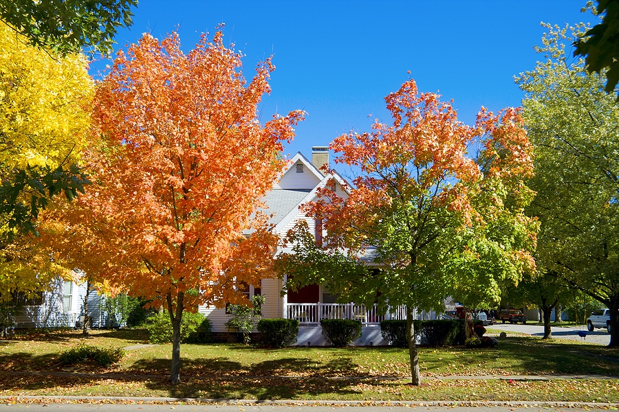 Image of a residential home during fall.